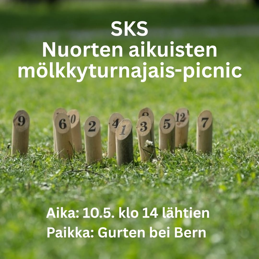 Bern: Nuorten aikuisten picnic Mölkkyturnaus flyer